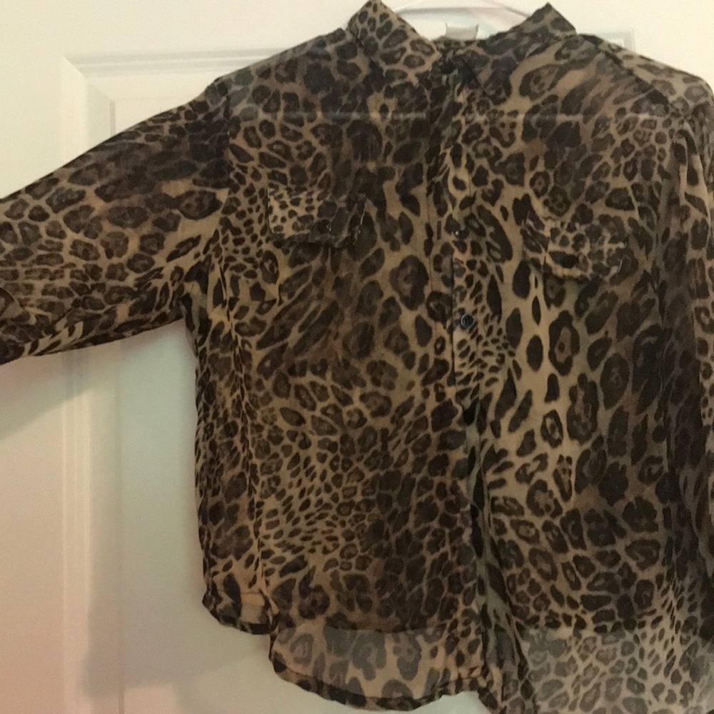 Collared shirt - Picture 2 of 2
